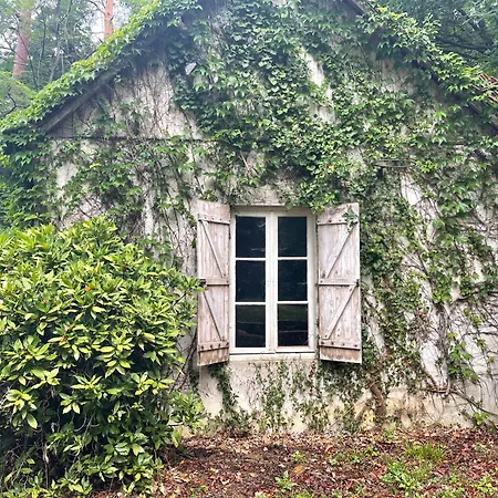 Сasa de vacaciones Luxueuse - La Maison Des Pilotes - 50 M Du Circuit Des 24h Du Mans *